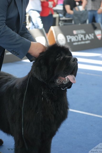 Фотография № 98301