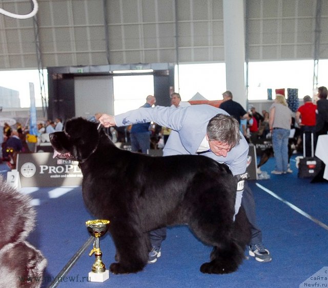 Фотография № 98302