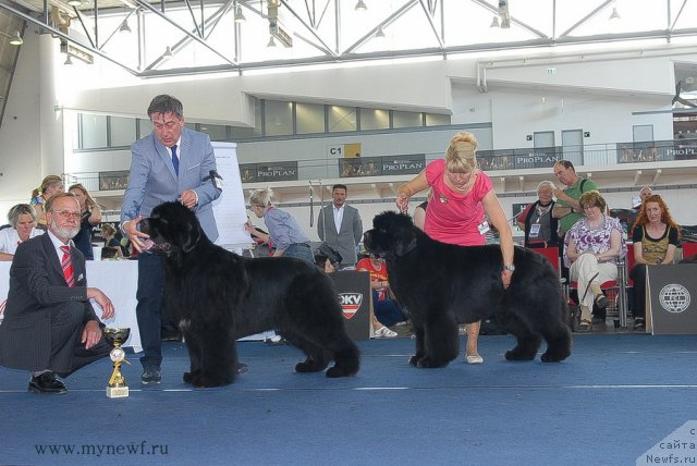 Фотография № 98307