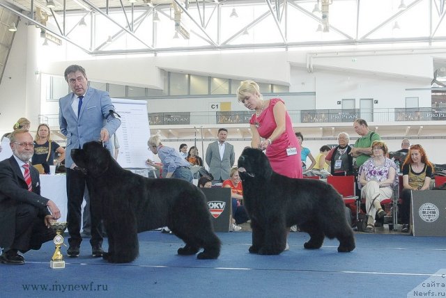 Фотография № 98310