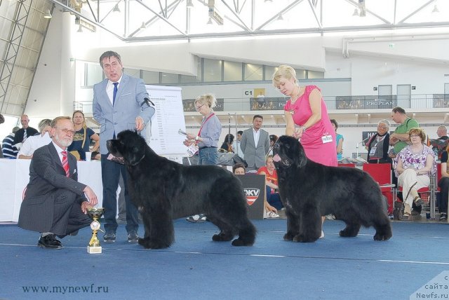 Фотография № 98311