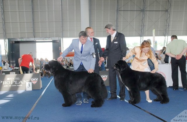 Фотография № 98312