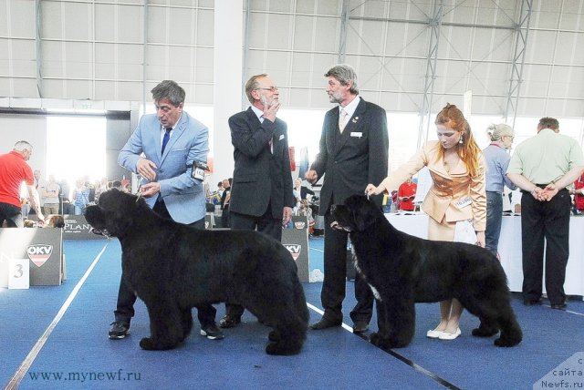 Фотография № 98313