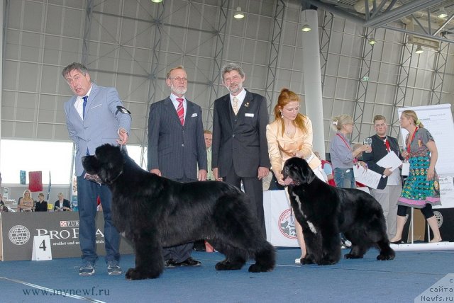 Фотография № 98321