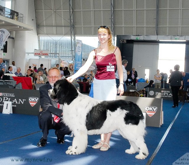 Фотография № 98323