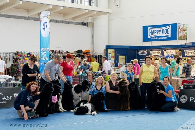 Фотография № 98325