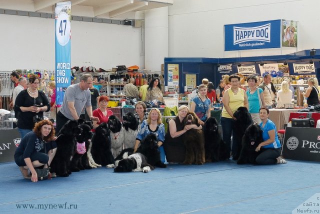 Фотография № 98326