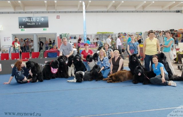 Фотография № 98328