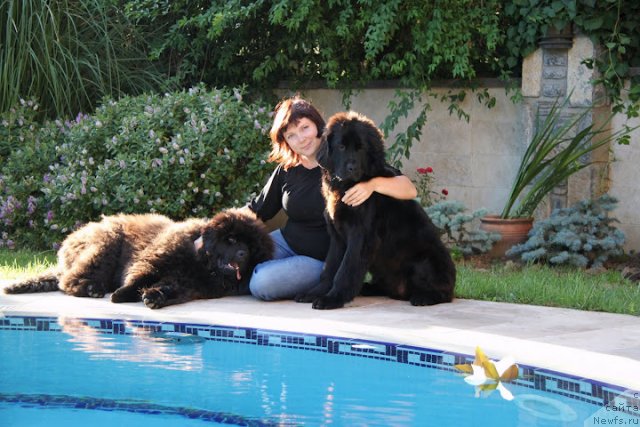 Фотография № 98345