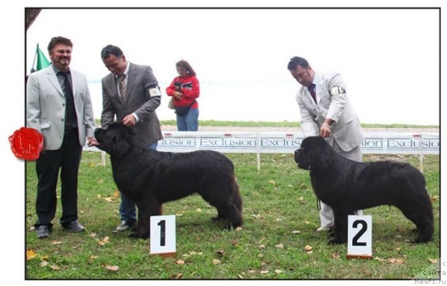 Фотография № 98379