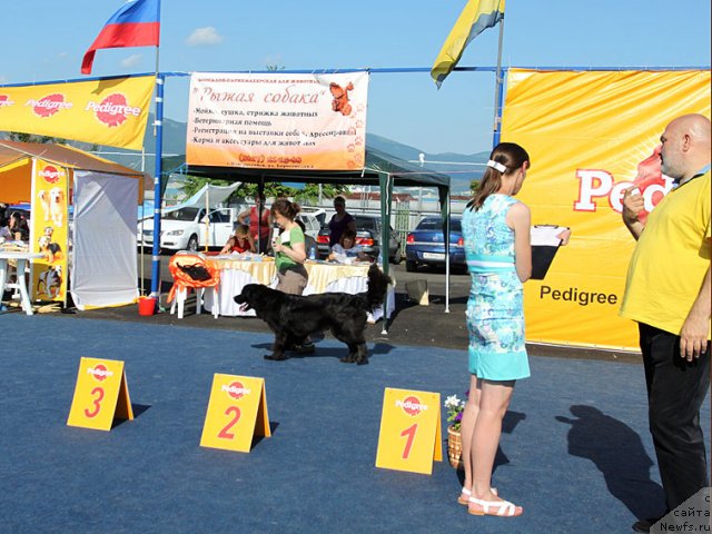 Фотография № 98389