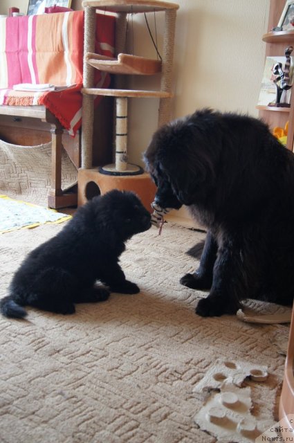 Фотография № 98408