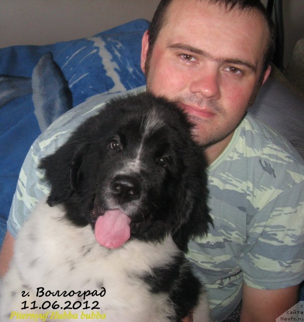 Фотография № 98417