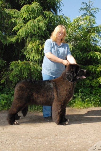 Фотография № 98456