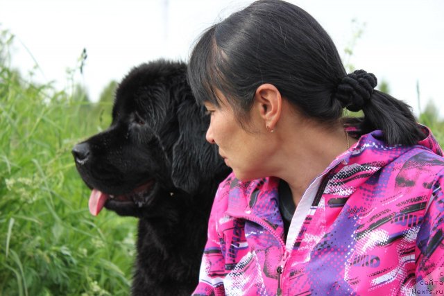 Фото: Irina Bubnova (Ирина Бубнова), ньюфаундленд Dar Svezy Unika Sagitta (Дар Свезы Юника Сагитта)