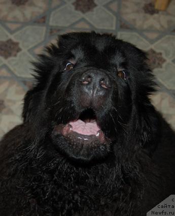 Фотография № 9861