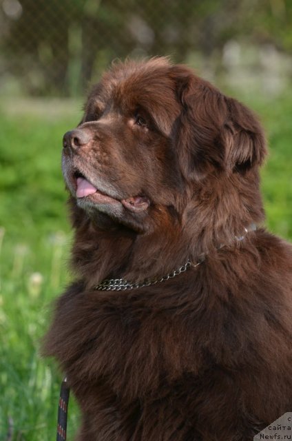 Фотография № 98616