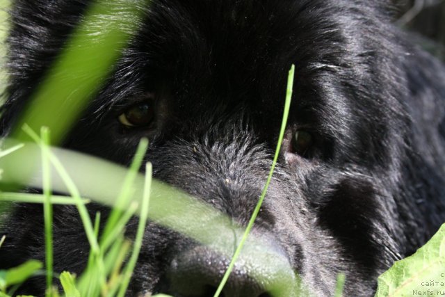 Фотография № 98637