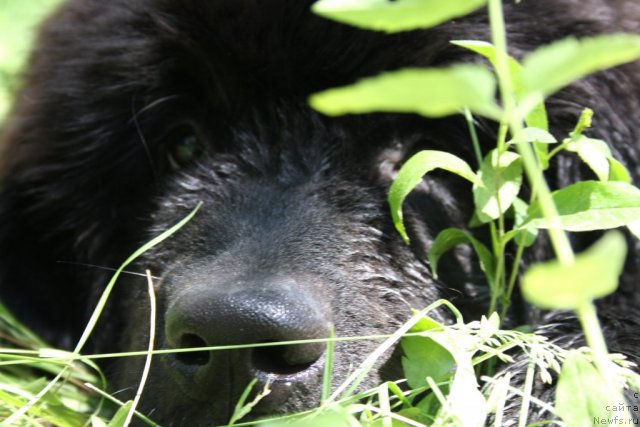 Фотография № 98639