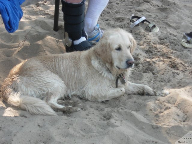 Фото: Агата