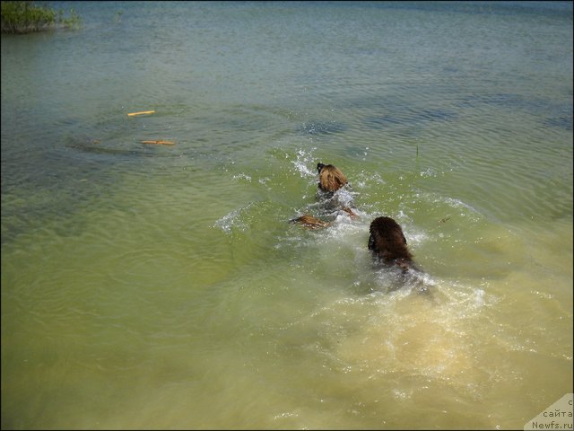 Фотография № 98671