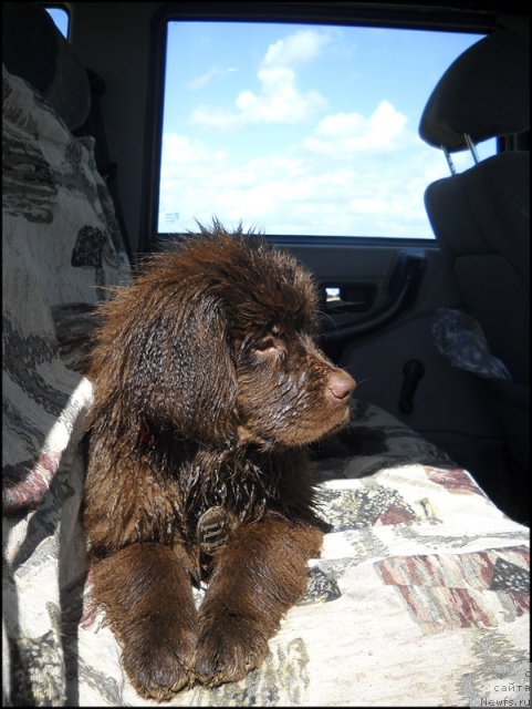 Фотография № 98675