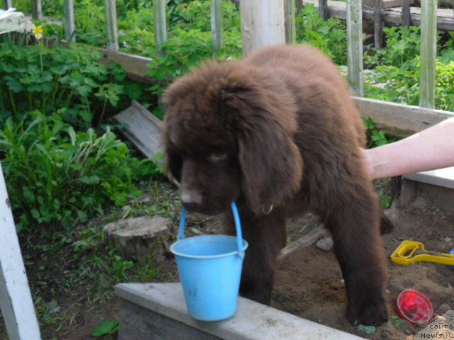 Фотография № 98679