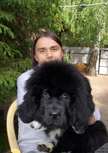 Фотография № 98707