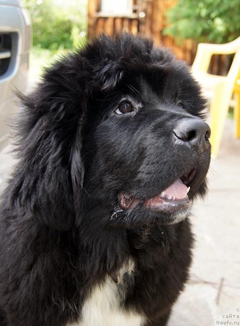 Фотография № 98708