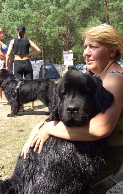 Фото: ньюфаундленд Lesnaya Skazka Lunnaya Sonata (Лесная Сказка Лунная Соната)