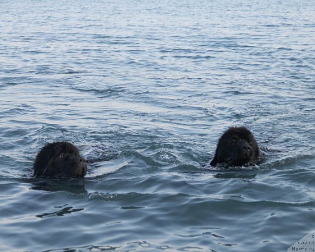 Фотография № 98747