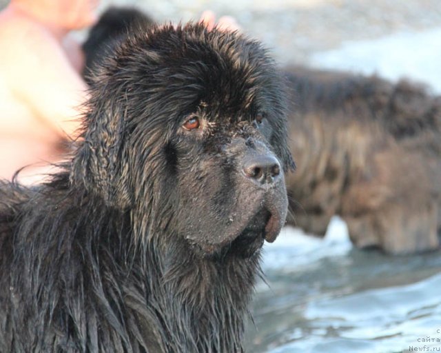 Фотография № 98761