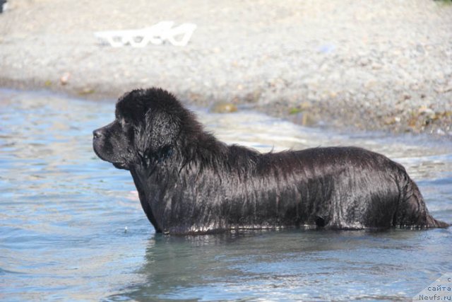 Фотография № 98765