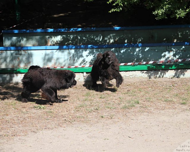 Фотография № 98770