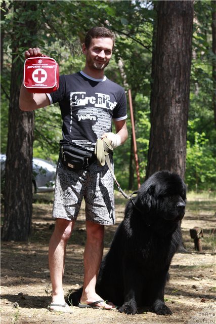Фото: ньюфаундленд Akvatoriya Kelvin Kuindji (Акватория Келвин Куинджи)