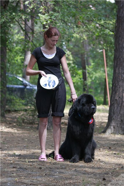 Фото: [p560] и, ньюфаундленд Akvatoriya Kelvin Kuindji (Акватория Келвин Куинджи)