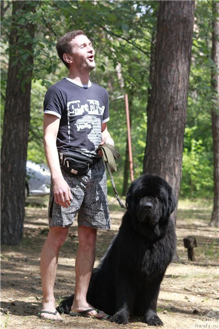 Фото: ньюфаундленд Akvatoriya Kelvin Kuindji (Акватория Келвин Куинджи)