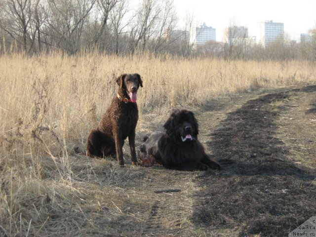 Фотография № 98800