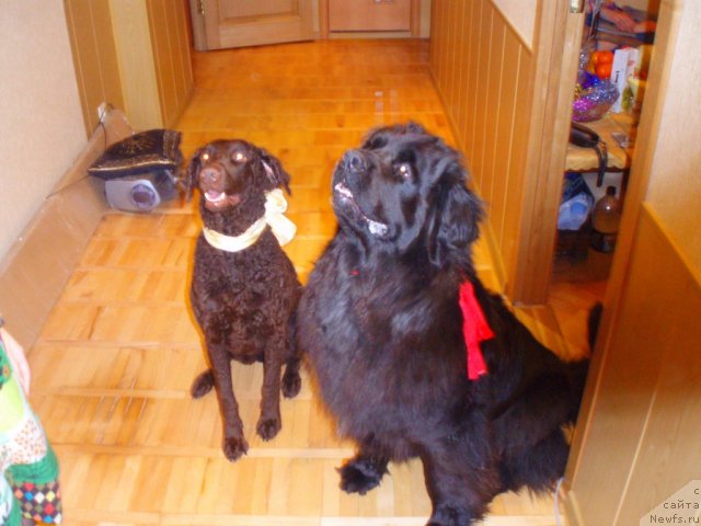 Фотография № 98801