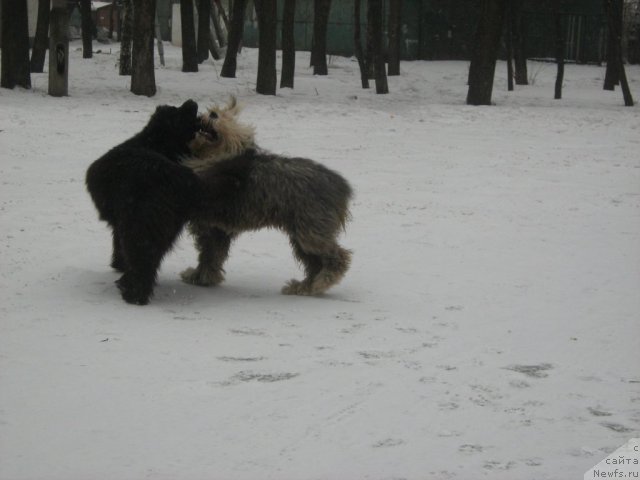 Фотография № 98804