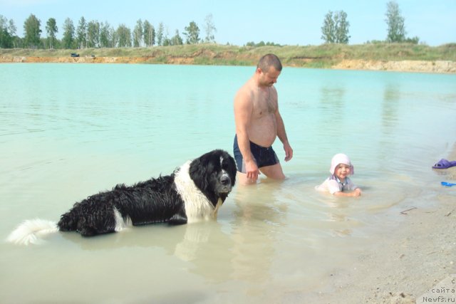 Фотография № 98903