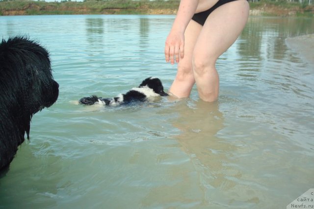 Фотография № 98911