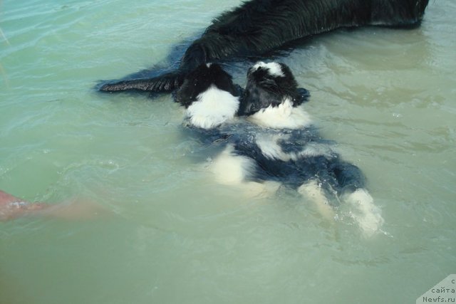 Фотография № 98913