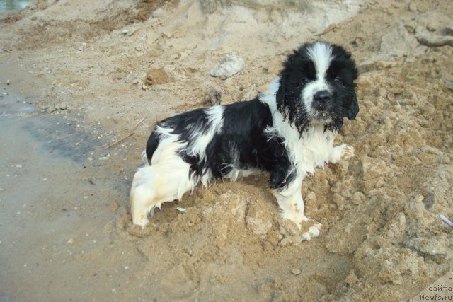 Фотография № 98918