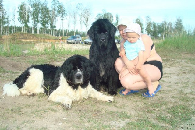 Фотография № 98939