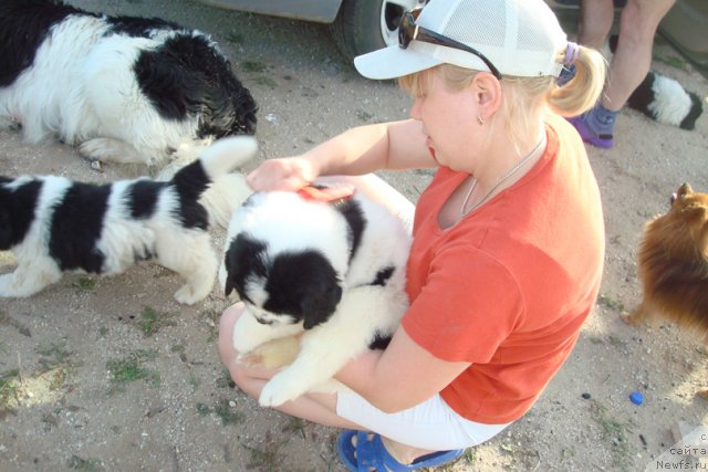 Фотография № 98946