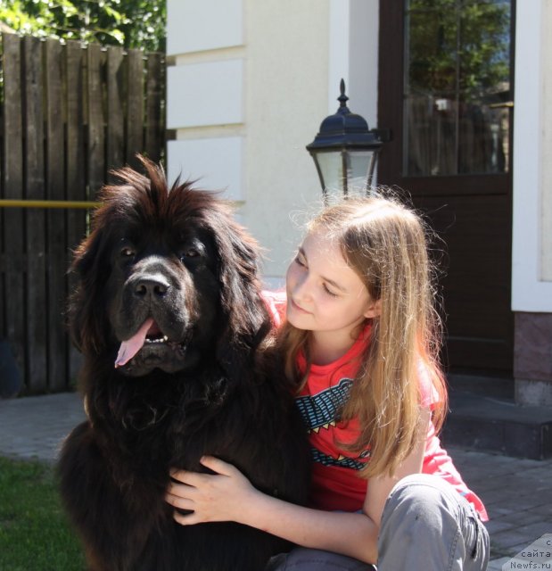 Фотография № 98971