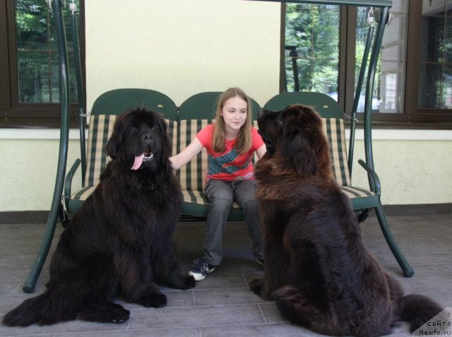 Фотография № 98973