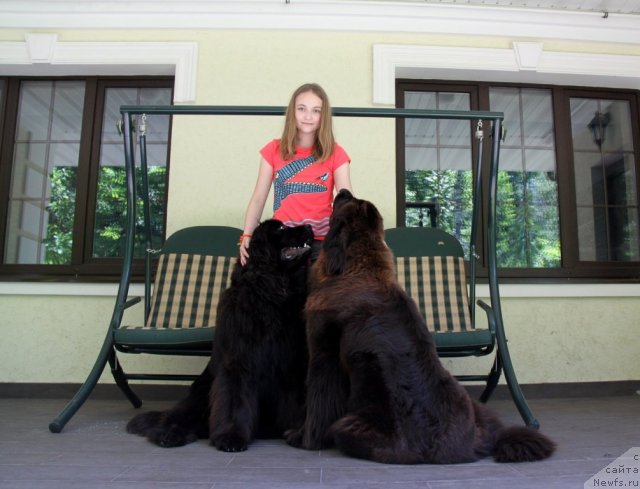 Фотография № 98975