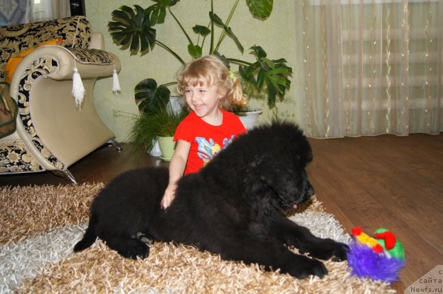 Фотография № 98995